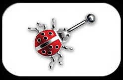 Lady Bug Belly Bar