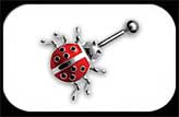 Lady Bug Belly Bar