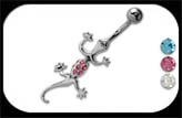 Moving Lizard Belly Bar