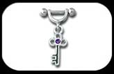 Helix Sheild with Key charm