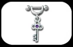 Helix Sheild with Key charm