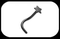Black Steel Star Nose Stud