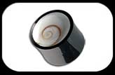 Shiva Eye Inlaid Flesh Plug