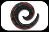 Painted Horn Spiral Red