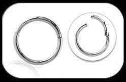 Hinged Segment Ring